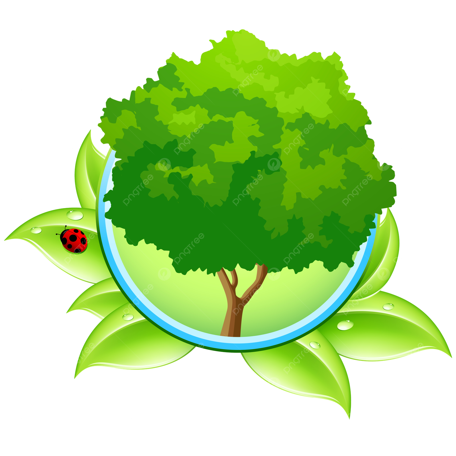 pngtree icon with tree biologic photo png image_13787905