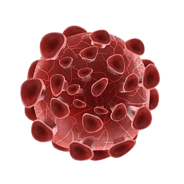 pngtree stem cell cancer virus png image_2844867 removebg preview